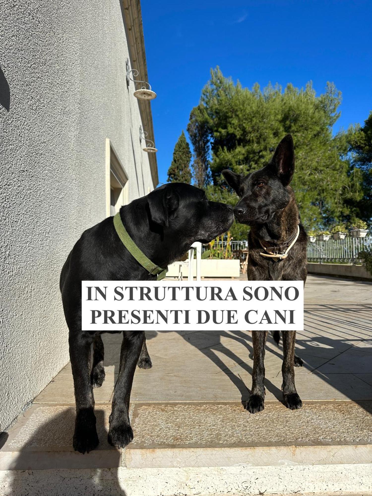 La Dimora Di Ulisse Santa Cesarea Terme Exterior foto