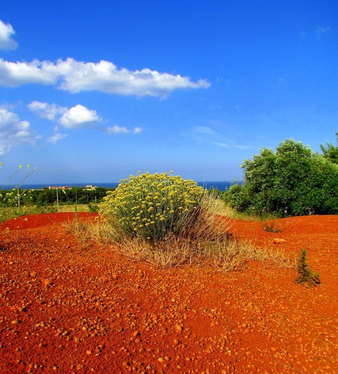 La Dimora Di Ulisse Santa Cesarea Terme Exterior foto