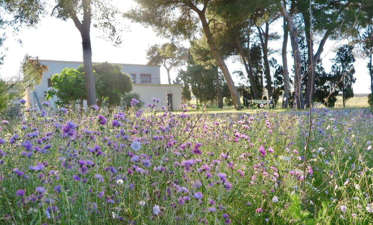 La Dimora Di Ulisse Santa Cesarea Terme Exterior foto
